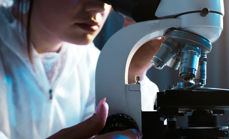 El fomento en la investigación como motor del desarrollo y la innovación 1 El fomento en la investigación como motor del desarrollo y la innovación