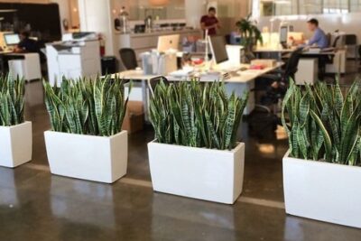 Consejos prácticos para elegir plantas artificiales decorativas ideales